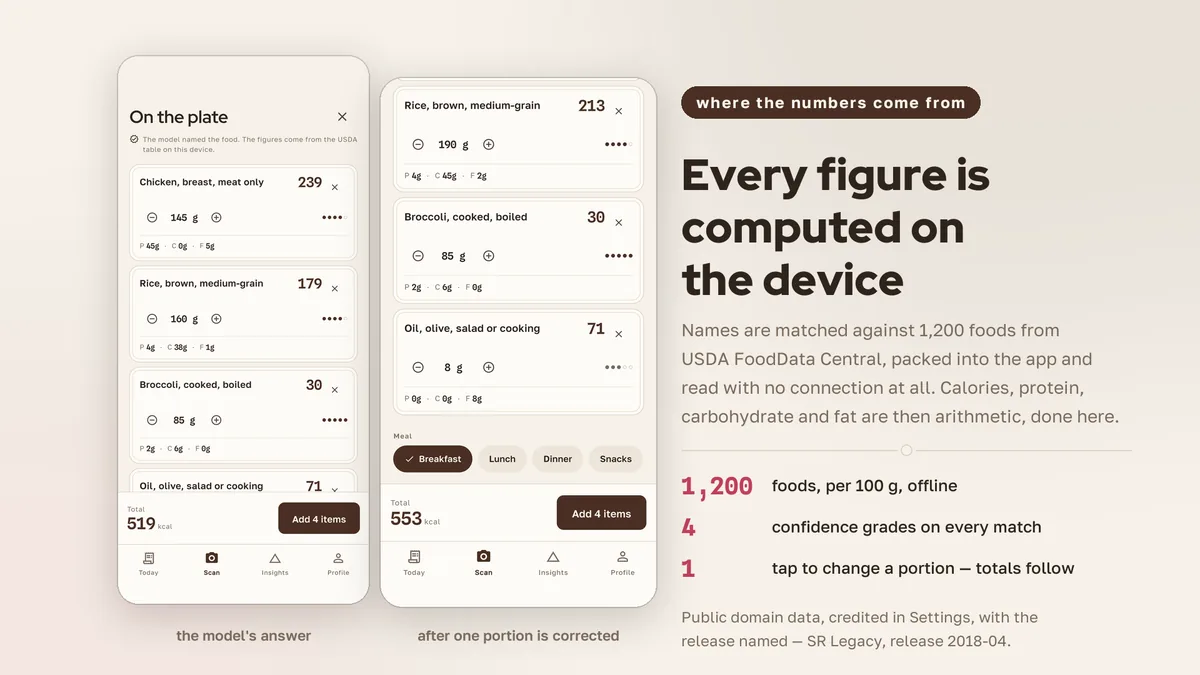 Food details sourced from the bundled USDA table — Grubora