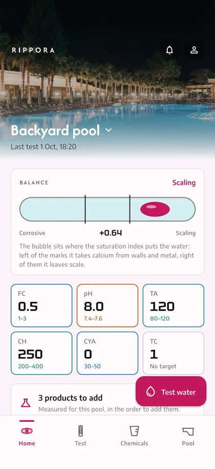 Balance you can see at a glance — Rippora screen