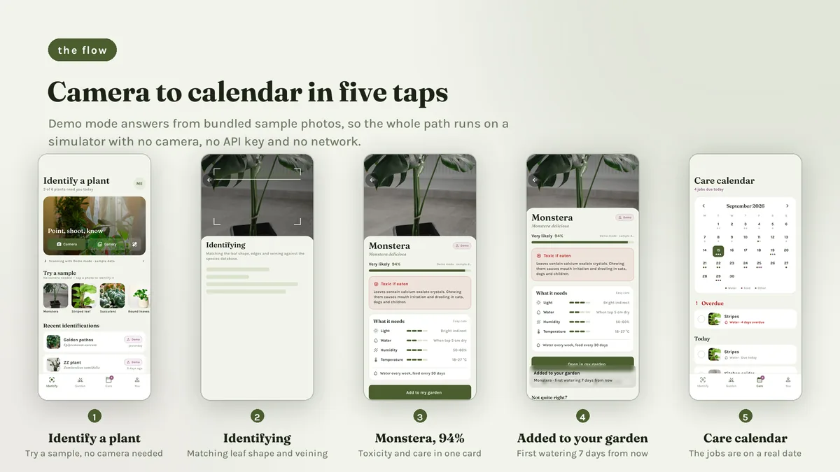 Flow from photo to identification to a saved plant — Sprigora
